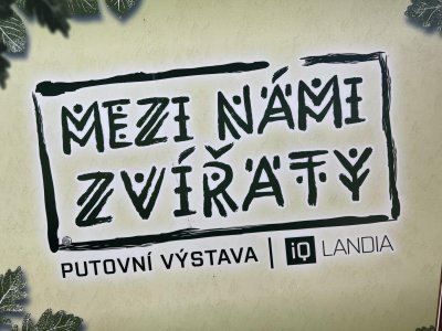 Mezi námi zvířaty + Cirkus park